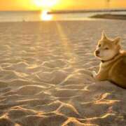 ヒメ日記 2025/12/04 00:19 投稿 結月（ゆづき） ローズ～ミドルエイジ～