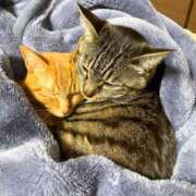 ヒメ日記 2025/12/04 22:17 投稿 結月（ゆづき） ローズ～ミドルエイジ～