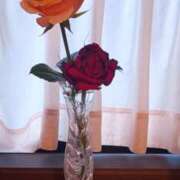 ヒメ日記 2026/01/06 22:40 投稿 結月（ゆづき） ローズ～ミドルエイジ～