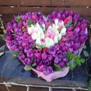 ヒメ日記 2026/02/04 14:42 投稿 結月（ゆづき） ローズ～ミドルエイジ～