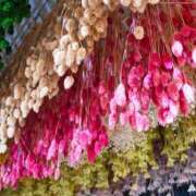 ヒメ日記 2026/02/15 23:23 投稿 結月（ゆづき） ローズ～ミドルエイジ～