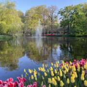 結月（ゆづき） ※無題 ローズ～ミドルエイジ～