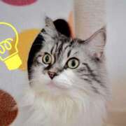 ヒメ日記 2026/04/21 00:20 投稿 結月（ゆづき） ローズ～ミドルエイジ～