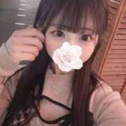 ヒメ日記 2025/11/27 17:42 投稿 ゆん 君と！ヤリスギ学園～舐めたくてグループ町田校～