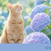 ヒメ日記 2026/06/24 07:12 投稿 あやの奥様 川崎人妻ソープ Mint(ミント)