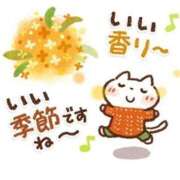 あやの奥様 今日も1日お疲れ様 川崎人妻ソープ Mint(ミント)