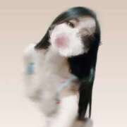 ヒメ日記 2025/12/14 12:13 投稿 あやめ 2980円