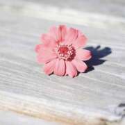 長山さつき i様お礼 有閑婦人＆Diana京都