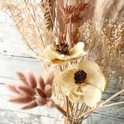 ヒメ日記 2026/01/13 19:08 投稿 長山さつき 有閑婦人＆Diana京都