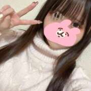 ヒメ日記 2025/11/18 03:42 投稿 ことり 君と！ヤリスギ学園～舐めたくてグループ町田校～