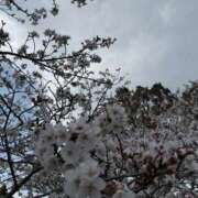 ヒメ日記 2026/03/29 16:21 投稿 あり ラブハート