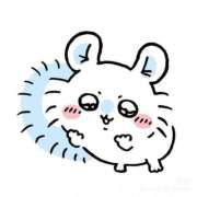 ヒメ日記 2026/01/28 12:15 投稿 月城 ゆいな 高級出張性感マッサージ＆回春エステ セレブリフレ