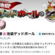 ヒメ日記 2025/11/15 16:19 投稿 加藤 鶯谷デッドボール