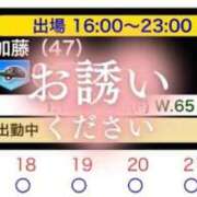 ヒメ日記 2025/11/17 13:59 投稿 加藤 鶯谷デッドボール