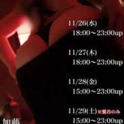 ヒメ日記 2025/11/25 21:41 投稿 加藤 鶯谷デッドボール