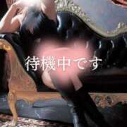 ヒメ日記 2025/12/20 19:49 投稿 加藤 鶯谷デッドボール