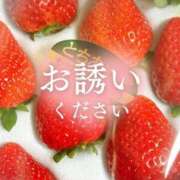 ヒメ日記 2026/01/27 21:09 投稿 加藤 鶯谷デッドボール