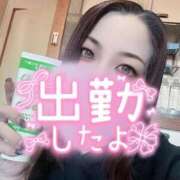 ヒメ日記 2026/02/01 15:01 投稿 加藤 鶯谷デッドボール