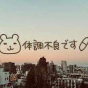 ヒメ日記 2026/02/27 18:19 投稿 加藤 鶯谷デッドボール