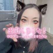 ヒメ日記 2026/03/14 17:39 投稿 加藤 鶯谷デッドボール