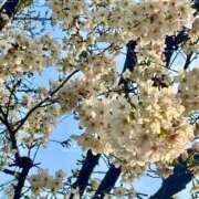 ヒメ日記 2026/03/28 19:19 投稿 加藤 鶯谷デッドボール