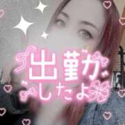 ヒメ日記 2026/05/15 15:29 投稿 加藤 鶯谷デッドボール
