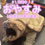 ヒメ日記 2026/08/03 12:19 投稿 加藤 鶯谷デッドボール
