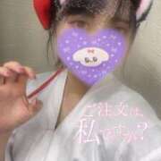 ヒメ日記 2025/11/21 12:59 投稿 かりな 池袋ぱんぷきん（シンデレラグループ）