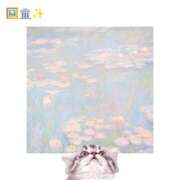 ヒメ日記 2026/02/20 02:50 投稿 もこ ぐりぐらんど