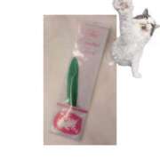 ヒメ日記 2026/02/27 10:30 投稿 もこ ぐりぐらんど