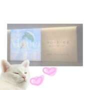 もこ もこさんの次回出勤日がでたのです🧼ᐕ)ฅ ぐりぐらんど