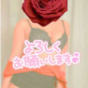 ヒメ日記 2025/11/11 14:41 投稿 みつり 熟女の風俗最終章 本厚木店