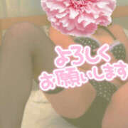 ヒメ日記 2025/11/11 15:32 投稿 みつり 熟女の風俗最終章 本厚木店