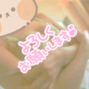 ヒメ日記 2025/11/12 07:31 投稿 みつり 熟女の風俗最終章 本厚木店