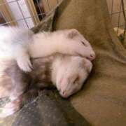 ヒメ日記 2025/11/16 17:47 投稿 ひなの eroina