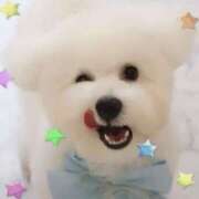 ヒメ日記 2026/04/09 02:13 投稿 ちい 大阪ぽっちゃりマニア 十三店