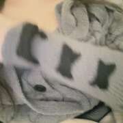 ヒメ日記 2025/12/03 15:15 投稿 夢華-ゆめか【FG系列】 ほんつま 町田/相模原店