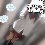 ヒメ日記 2026/01/17 11:15 投稿 みさ チェリーデイズ新宿店