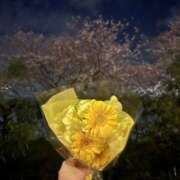 ヒメ日記 2026/04/01 21:00 投稿 らら Triple Pink(トリプルピンク)