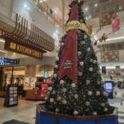 ヒメ日記 2025/12/07 16:11 投稿 奏　音羽 30・40・50代☆人妻熟女コレクション