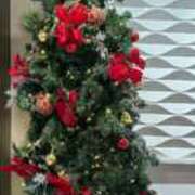 ヒメ日記 2025/12/13 22:05 投稿 奏　音羽 30・40・50代☆人妻熟女コレクション