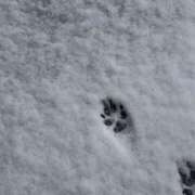 ヒメ日記 2026/02/08 19:23 投稿 奏　音羽 30・40・50代☆人妻熟女コレクション