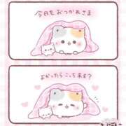 ヒメ日記 2026/02/10 21:26 投稿 奏　音羽 30・40・50代☆人妻熟女コレクション