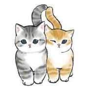 ヒメ日記 2026/02/25 23:19 投稿 奏　音羽 30・40・50代☆人妻熟女コレクション