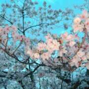 ヒメ日記 2026/04/05 23:59 投稿 奏　音羽 30・40・50代☆人妻熟女コレクション