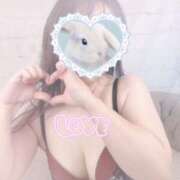 ヒメ日記 2026/04/15 11:21 投稿 奏　音羽 30・40・50代☆人妻熟女コレクション