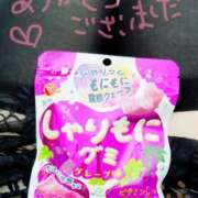 ヒメ日記 2026/03/07 14:00 投稿 なずな 熟女＆人妻＆ぽっちゃり倶楽部