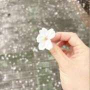 ヒメ日記 2026/04/09 07:29 投稿 白鳥　幸子 SM東京　新宿店