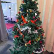 ヒメ日記 2025/12/11 18:53 投稿 ハニー ニューグランド