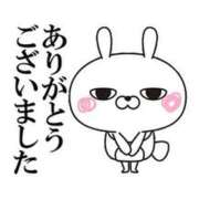 ヒメ日記 2026/02/26 11:23 投稿 ハニー ニューグランド